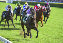 Betting for horse racing – good horse betting tips horse racing