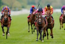 Winning a Horse Racing Wager