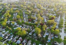 Expert Mold Removal Services Palatine and Naperville