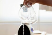 How to Clean a Fish Tank Filter Without Killing Beneficial Bacteria